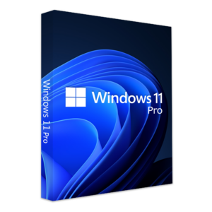 Microsoft Windows 11 Pro 64-bit DSP DVD retail pack with official branding and security holographic seal.