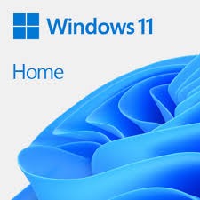 Microsoft Windows 11 Home FPP retail packaging showing the signature blue abstract bloom wallpaper and included USB flash drive.